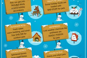 6 Winter Pet Safety Tips